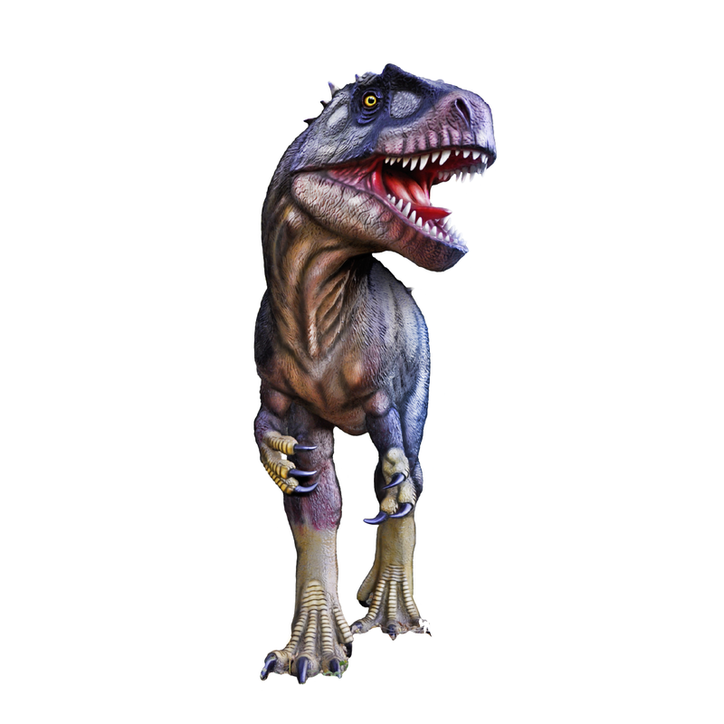 Neovenator