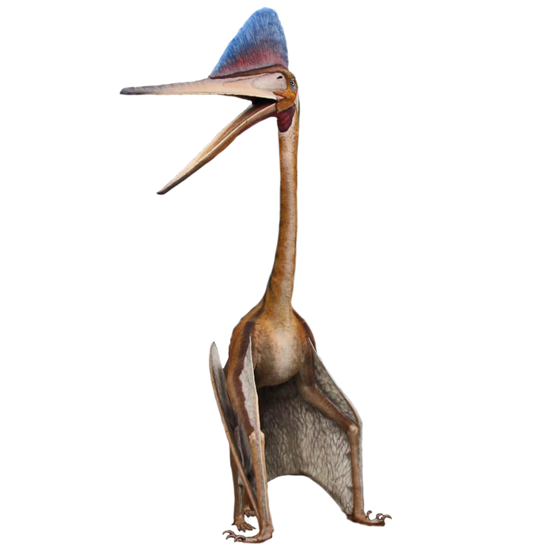 Quetzalcoatlus