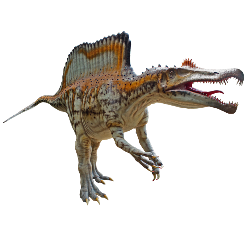 Spinosaurus