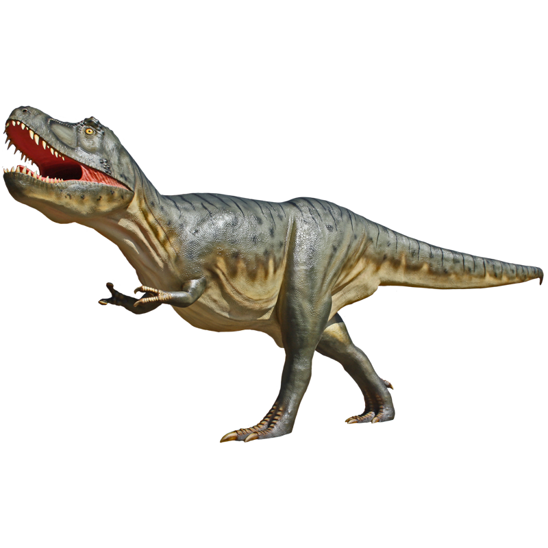 Tyrannosaurus rex