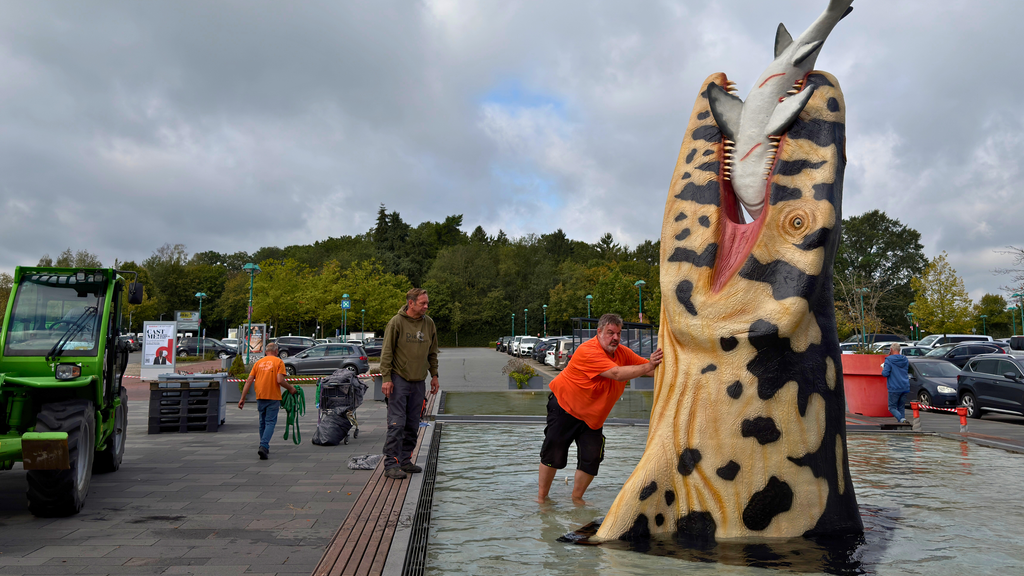 Die finale Ausrichtung unseres Mosasaurus im Springbrunnen vor dem Eingangsbereich.